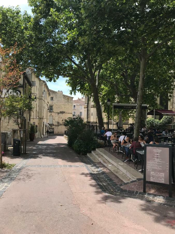 Superbe ! Appart T2 - Centre Historique & Tram - Situation Ideale Leilighet Montpellier Eksteriør bilde