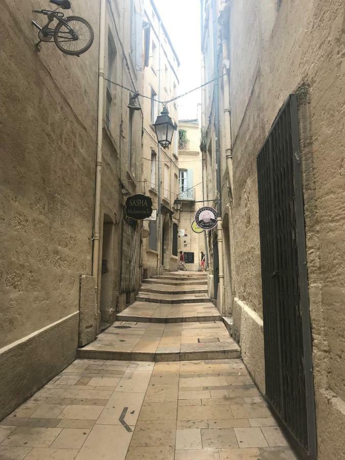 Superbe ! Appart T2 - Centre Historique & Tram - Situation Ideale Leilighet Montpellier Eksteriør bilde